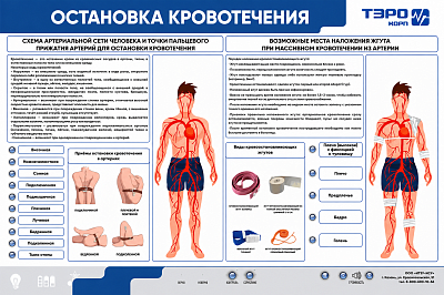 Интерактивный электрифицированный стенд «Остановка кровотечения»