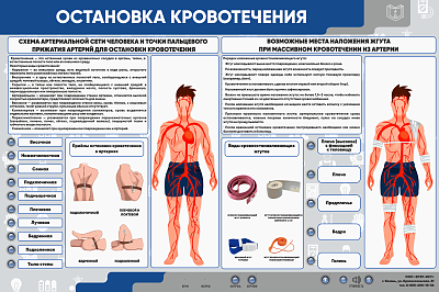 Интерактивный электрифицированный стенд "Остановка кровотечения"